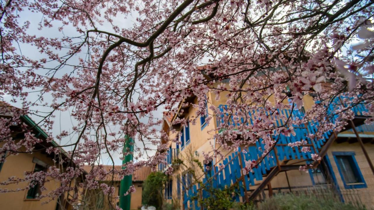 Albergue De Peregrinos Casa Flor Murias de Rechivaldo Exterior foto